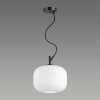 Подвес E27 60W ROOFI белый/черный C ODEON LIGHT