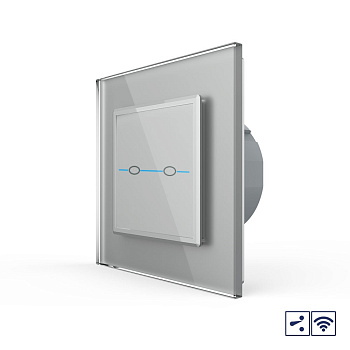 Сенсорный проходной радиоуправляемый выключатель Quadro 2 клавиши 1 пост Серый Livolo