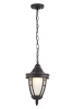 Подвесной светильник 1*E27 60Вт Черный IP20 Rivoli O027PL-01B Outdoor
