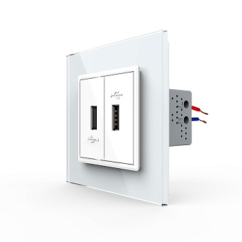 Розетка USB с блоком 5В 2.1А двойная Белая Livolo