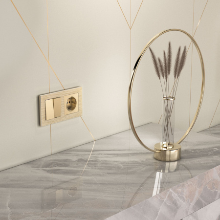 Розетка с заземлением (шампань) СУ IP20 Werkel