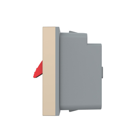 Розетка акустическая на зажимах, цвет золотой (механизм) Livolo