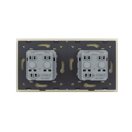 Розетка электрическая 16А 2 поста, цвет жемчужный Livolo