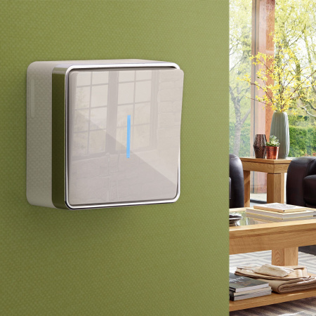 Выключатель одноклавишный с подсветкой (слоновая кость) Gallant ОУ IP20 Werkel