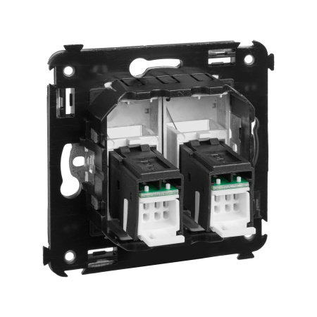 Компьютерная розетка RJ-45 в стену, кат.5e двойная, "Avanti","Закаленная сталь" DKC