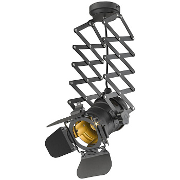 Светильник потолочный Черный/Матовое золото E27 1*60Вт WE290.01.007 WERTMARK
