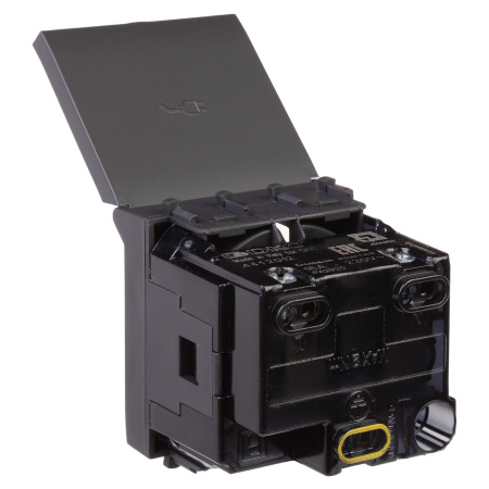 Розетка с крышкой модульная, 2P+E, с з/ш, "Avanti", "Черный матовый", 2модуля DKC