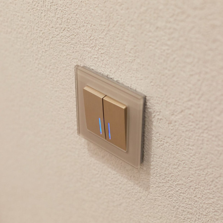 Выключатель одноклавишный с подсветкой (шампань рифленый) СУ IP20 Werkel