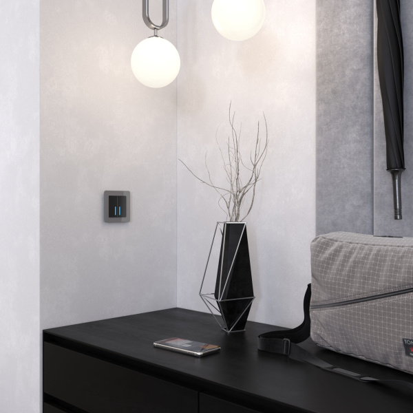 Acrylic Рамка на 1 пост графит Werkel