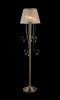 Напольный светильник (торшер) 1*E14 40Вт Бронза IP20 Simone FR2020-FL-01-BZ Freya