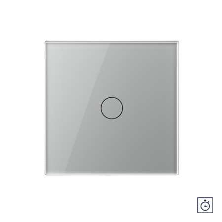 Сенсорный выключатель с таймером 1 клавиша 1 модуль Серый Livolo