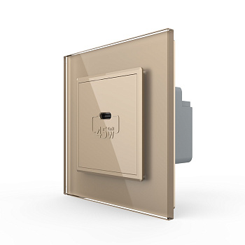 Розетка USB type C с блоком питания 45W Livolo1 пост Золотая VL-C7VUC-2AP