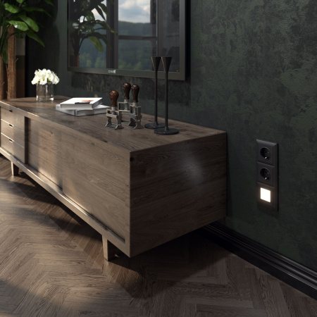 Встраиваемые механизмы Розетка СУ 1 мест.(земля.шторки) 16А черный матовый IP44 Werkel