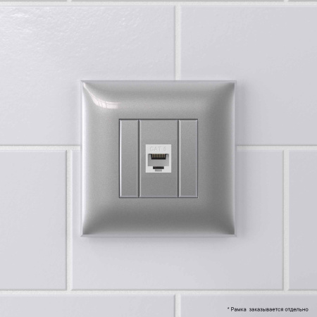 Компьютерная розетка RJ-45 без шторки в стену, кат.6 одинарная, "Avanti", "Закаленная сталь" DKC