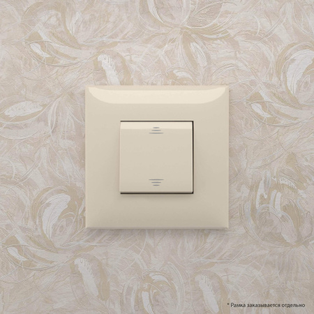 Выключатель одноклавишный в стену, "Avanti", "Ванильная дымка" DKC