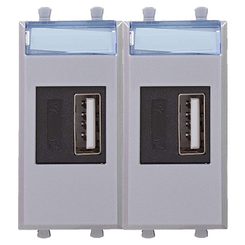 USB зарядное устройство модульное, "Avanti", "Закаленная сталь", 2модуля DKC