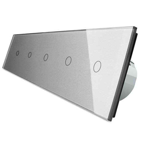 Сенсорный выключатель 5 клавиш (1-1-1-1-1), 5 постов Серый Livolo