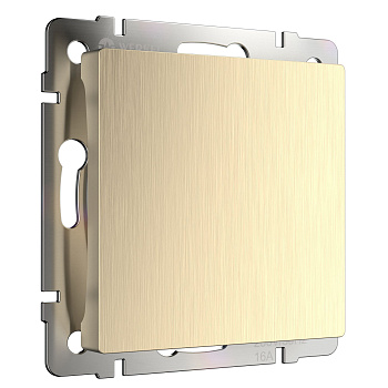 Заглушка (шампань рифленый) СУ IP20 Werkel