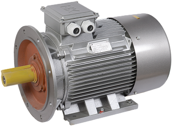 Электродвигатель асинхронный трехфазный АИР 200L8 660В 22кВт 750об/мин 2081 DRIVE IEK