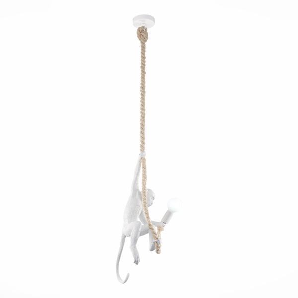 Светильник подвесной Белый E27 1*60Вт SLE115103-01 EVOLUCE