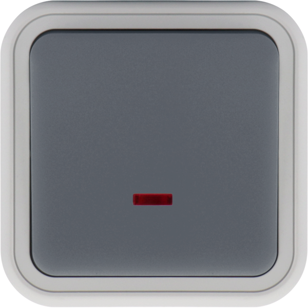 Donel W55 Выключатель звонкового типа 1-кл. накладной, с подсв., серый, IP55, серия (тип) DIP55