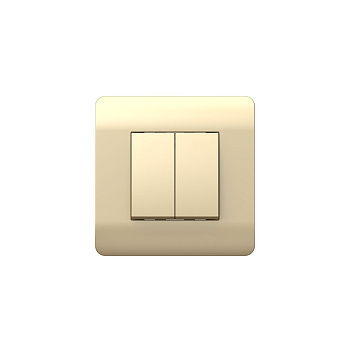 Выключатель 2-клавишный с подсветкой, 10А, шампань NEW3-E CHINT