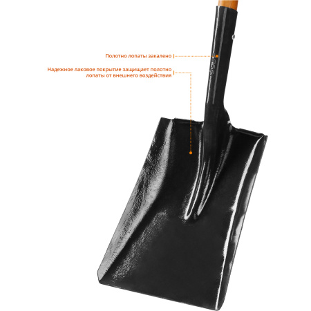 Лопата "Профи-10" совковая, деревянный черенок, Профессионал ЗУБР