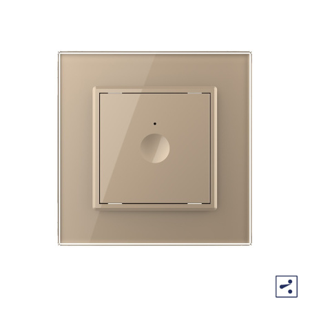 Одноклавишный проходной сенсорный выключатель Module, цвет золотой Livolo