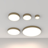 Потолочный светильник LED 36Вт Матовое Золото IP20 Ceiling & Wall C032CL-36W4K-RD-MG Technical Maytoni