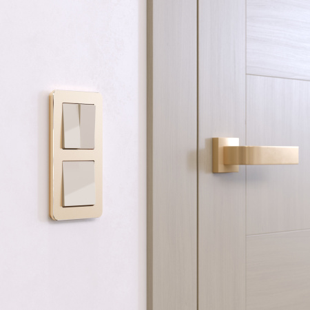 Platinum Рамка на 2 поста шампань Werkel