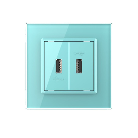 Розетка USB с блоком 5В 2.1А двойная Зеленая Livolo