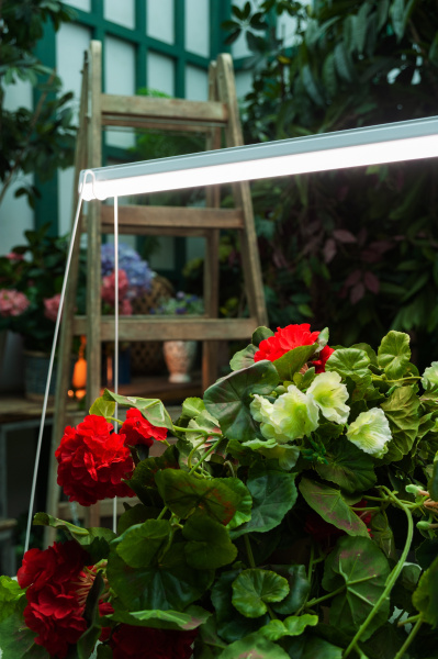 Подставка для свет-ка для растений (фито) h=800мм металл/белый Uniel