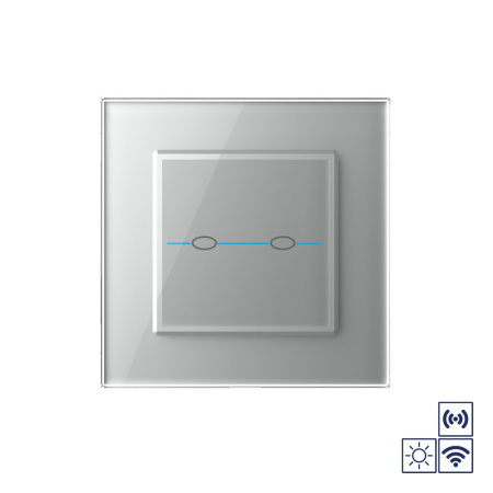 Сенсорный импульсный радиоуправляемый выключатель Quadro сухой контакт 2 клавиши Серый Livolo