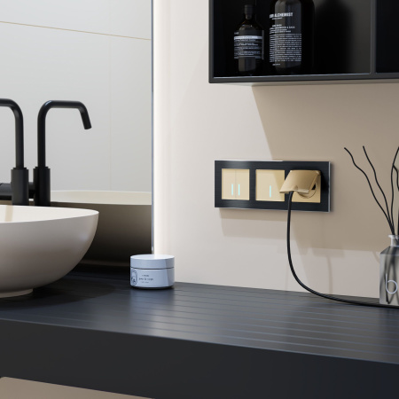 Розетка влагозащ. с зазем. с защит. крышкой и шторками (шампань) СУ IP44 Werkel