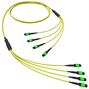 Оптическая магистральная сборка 48 ОВ 9/125 OS2, 4xMTP(12)m/4xMTP(12)m, тип В, 10 м DKC