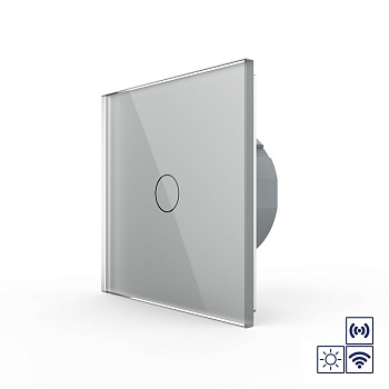 Сенсорный импульсный радиоуправляемый выключатель сухой контакт 1 клавиша 1 модуль Серый Livolo