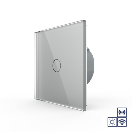 Сенсорный импульсный радиоуправляемый выключатель сухой контакт 1 клавиша 1 модуль Серый Livolo