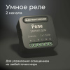 Умное двухканальное реле черный IP20 (a059326) Elektrostandard