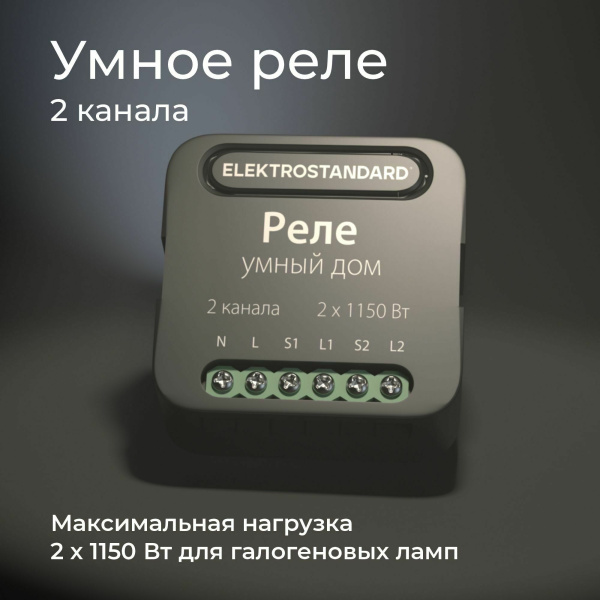 Умное двухканальное реле черный IP20 (a059326) Elektrostandard