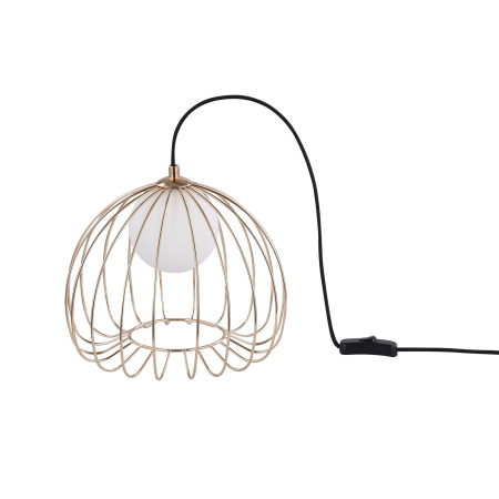 Настольная лампа 1*G9 28Вт Черный с Золотом IP20 Polly MOD542TL-01G Maytoni