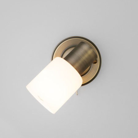 Настенный светильник с плафоном 1*E27 40Вт античная бронза IP20 (20089/1 бронза) Eurosvet