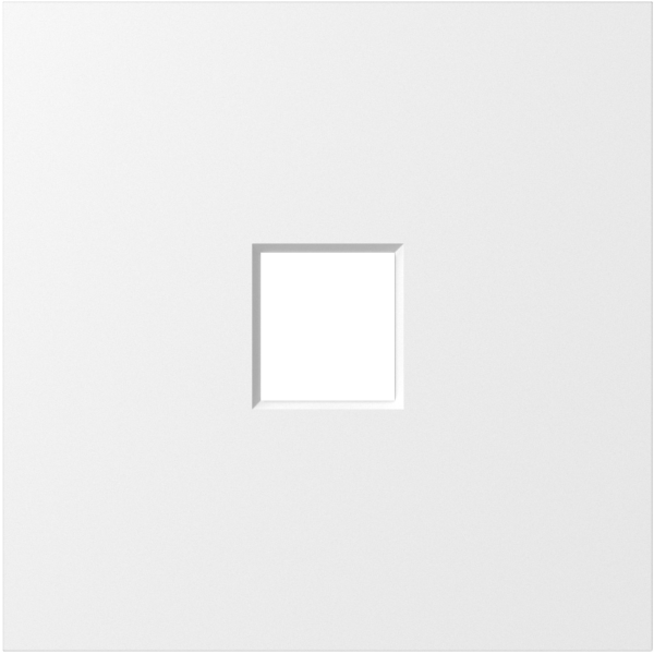 Donel S08 матовый белый накладка 1-я для розеток RJ45,TV,SAT,HDMI, серия DB