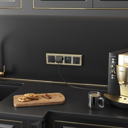 Розетка влагозащ. с зазем. с защит. крышкой и шторками (черный матовый) СУ IP44 Werkel