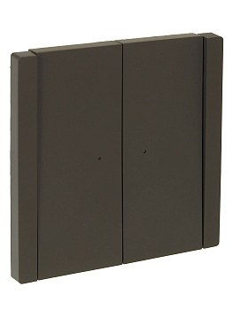 FORTE&PIANO Выключатель 2-клавишный проходной с индикацией 10А FP308 серый IEK