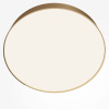 Потолочный светильник LED 45Вт Матовое Золото IP20 Ceiling & Wall C032CL-45W4K-RD-MG Technical Maytoni