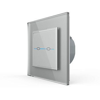 Сенсорный выключатель Quadro 2 клавиши 1 пост Серый Livolo