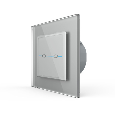 Сенсорный выключатель Quadro 2 клавиши 1 пост Серый Livolo