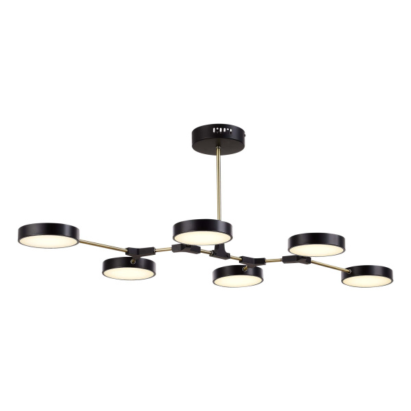 Светильник потолочный Черный, Латунь/Черный LED 6*10Вт SLE6004-402-06 EVOLUCE