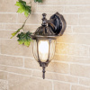 Уличный настенный светильник 1*E27 черное золото IP44 (a034303) Elektrostandard