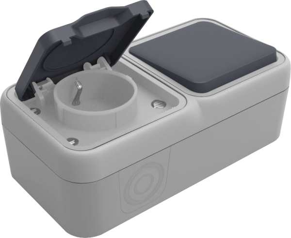 Donel W55 двойной блок накл. Роз.с защ.крышк.,+Переключатель 1-кл., серый, IP55, серия (тип) DIP55